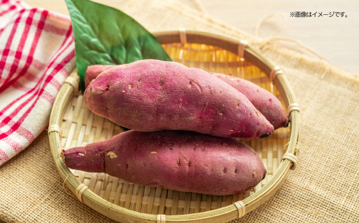 愛媛県大洲市産さつまいも（金時）5kg