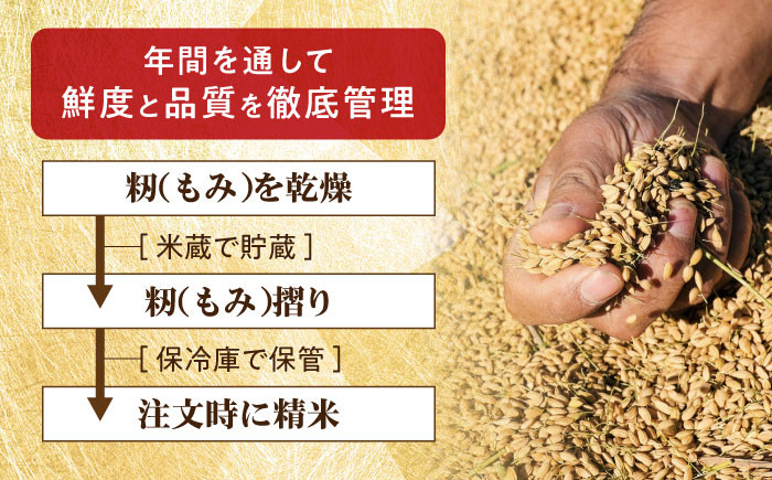 糸島産 雷山 のふもと 栽培期間中 農薬不使用 の 米 10kg（5kg×2）ひのひかり ヒノヒカリ