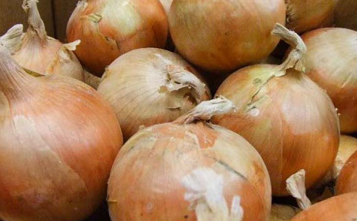 【5月上旬発送開始】淡路島産玉ねぎ5kg