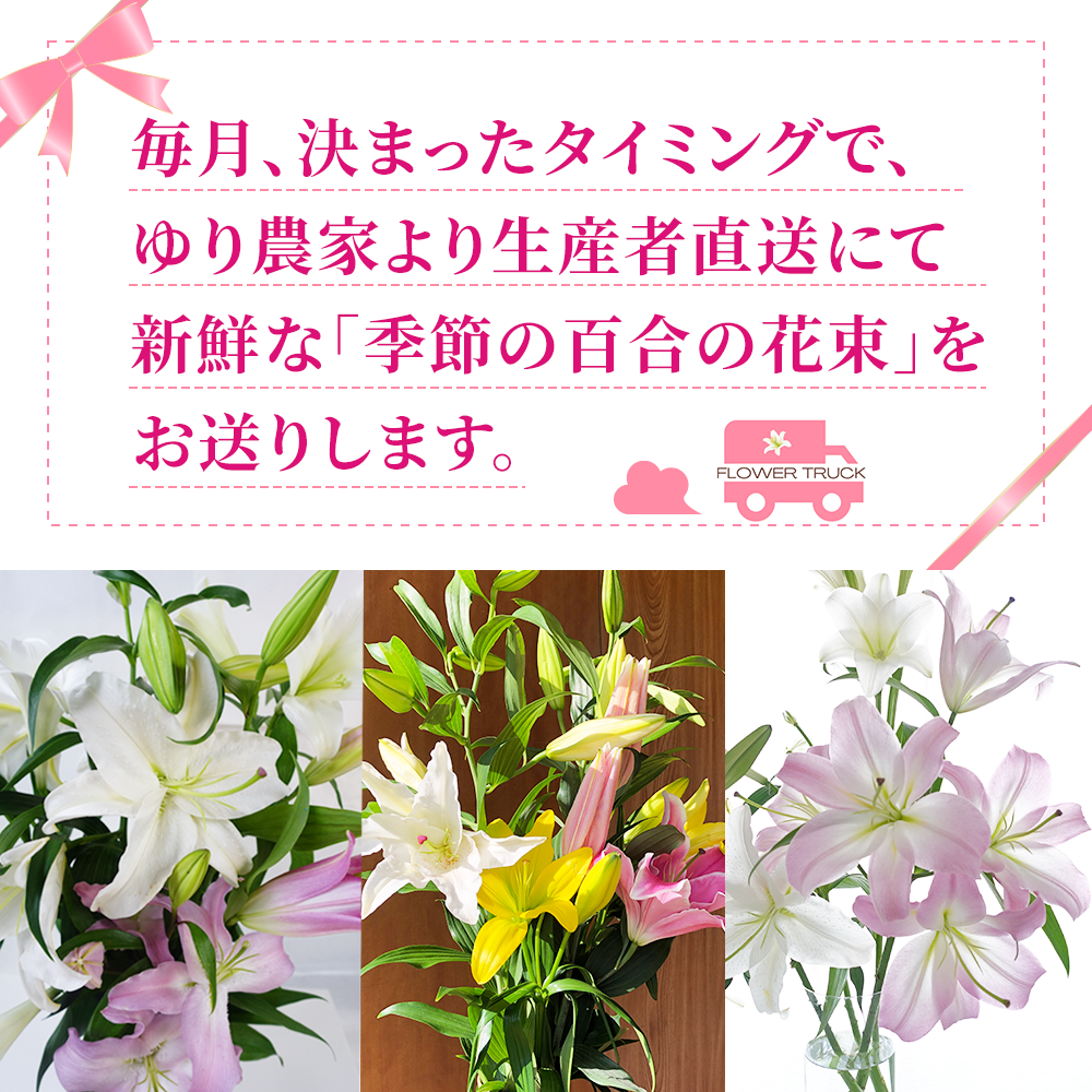 ご夫婦で丁寧に百合を育てています。