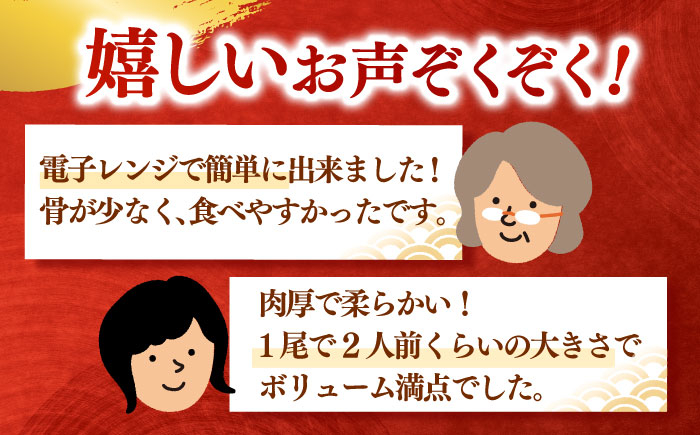全12回定期便 特大！ 鹿児島産 うなぎ 蒲焼2尾セット