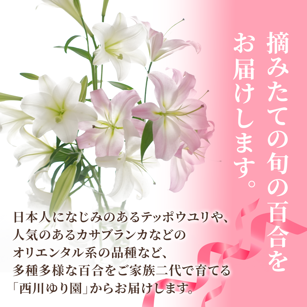 花がだめにならないよう、このようなつぼみの状態のものを中心にお送りします。