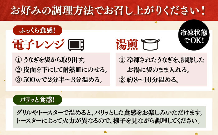 全6回定期便 特大! 鹿児島産 うなぎ 蒲焼 2尾セット