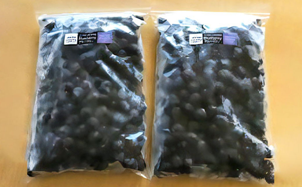 【2ヶ月毎3回 定期便】久住高原 手摘み ブルーベリー 冷凍 500g 2袋 小分け 栽培期間中農薬不使用