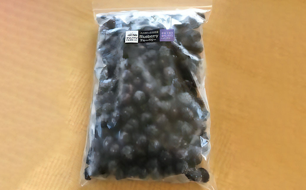 【3回 定期便】久住高原 冷凍 ブルーベリー 500g 栽培期間中農薬不使用 手摘み