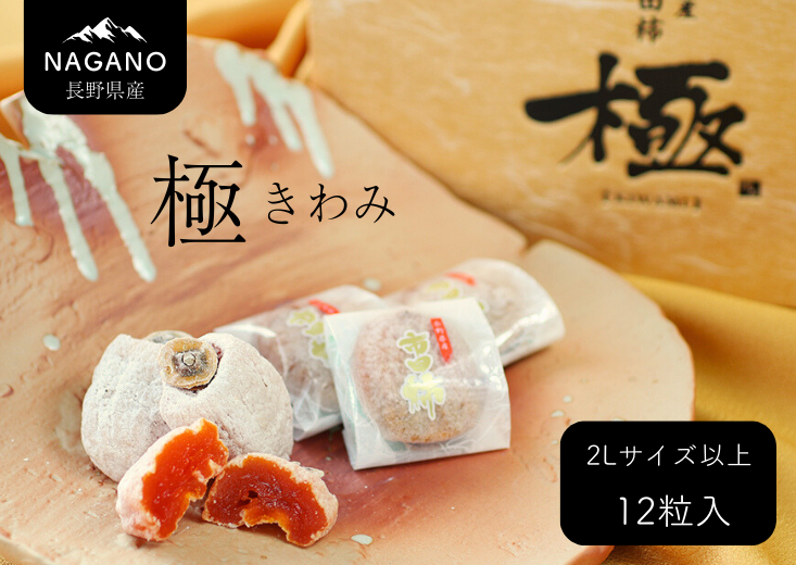長野県産　市田柿「極」
