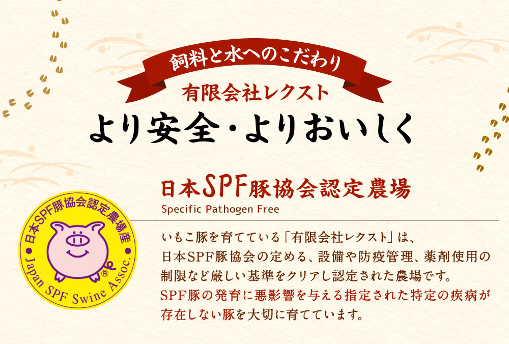 いもこ豚 小間切れ 1.5㎏ 500g×3パック