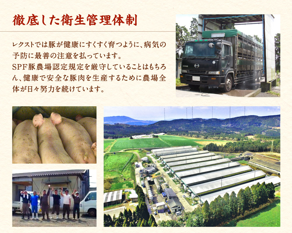 いもこ豚 小間切れ 1.5㎏ 500g×3パック