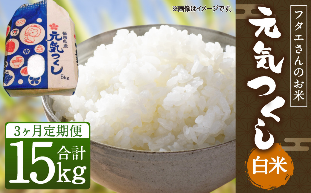 【3回定期便】フタエさんの お米 元気つくし 白米 5kg×3回 計15kg