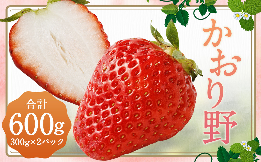 いちご「かおり野」プレミアム 300g×2パック 約600g