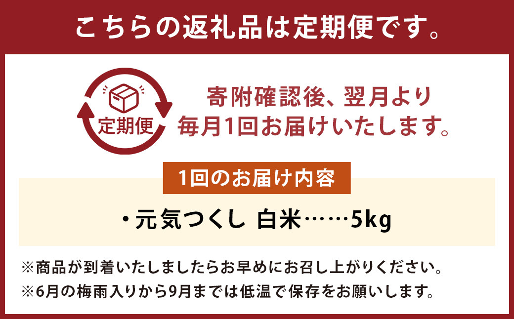 【6回定期便】フタエさんの お米 元気つくし 白米 5kg×6回 計30kg