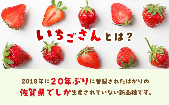 【全3回定期便】いちごさん 計1kg以上(約250g×4P)