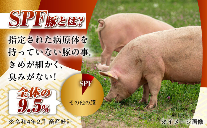 肉 豚 ぶた ブタ ロース 焼肉 焼き肉 しゃぶしゃぶ 小分け 西海市 長崎 九州 定期便