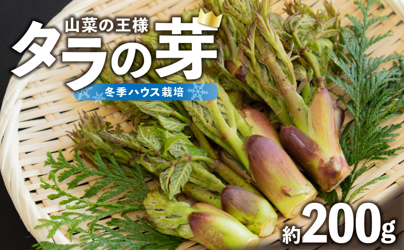 《先行予約》タラの芽 約200g 【2026年3月中旬～順次発送予定】