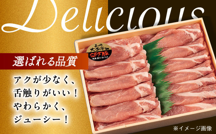 肉 豚 ぶた ブタ ロース しゃぶしゃぶ 小分け 西海市 長崎 九州 定期便