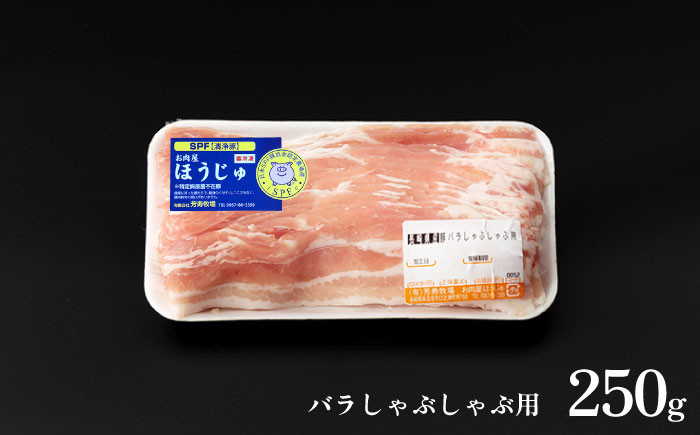 SPF豚