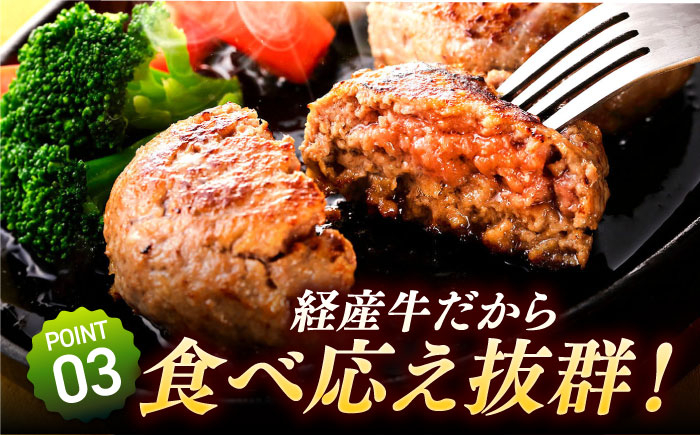 プロの料理人監修!こだわりのハンバーグ!