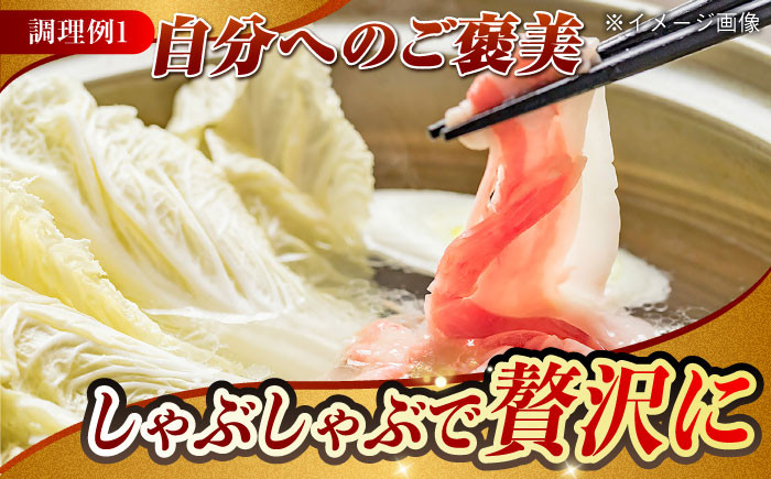 肉 豚 ぶた ブタ ロース しゃぶしゃぶ 小分け 西海市 長崎 九州 定期便