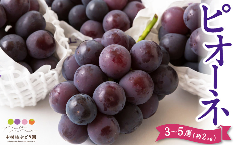 ピオーネ 3～5房（約2kg）