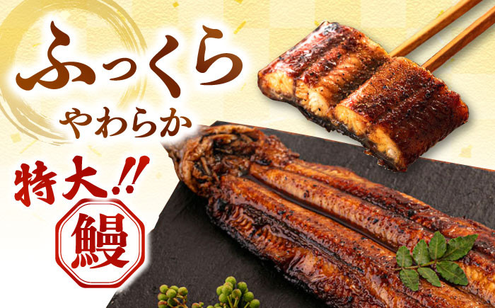全6回定期便 特大! 鹿児島産 うなぎ 蒲焼 2尾セット