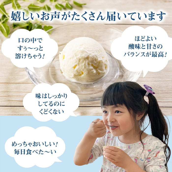 北海道 プレミアムミルクアイスクリーム×11個とフローズンヨーグルト×11個セット計２２個　12ｶ月定期便