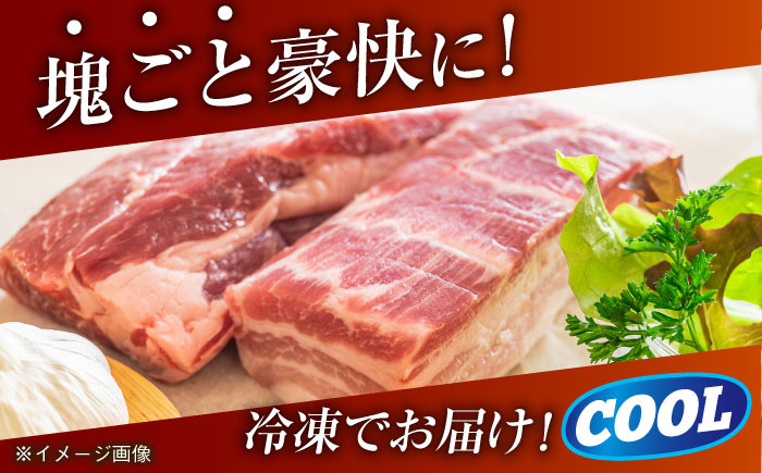 肉 豚 ぶた ブタ ロース 塊 ブロック 西海市 長崎 九州 定期便