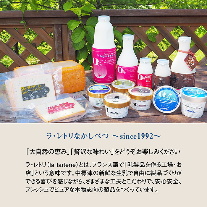北海道 プレミアムミルクアイスクリーム×6個とフローズンヨーグルト×6個セット計12個 12カ月定期便