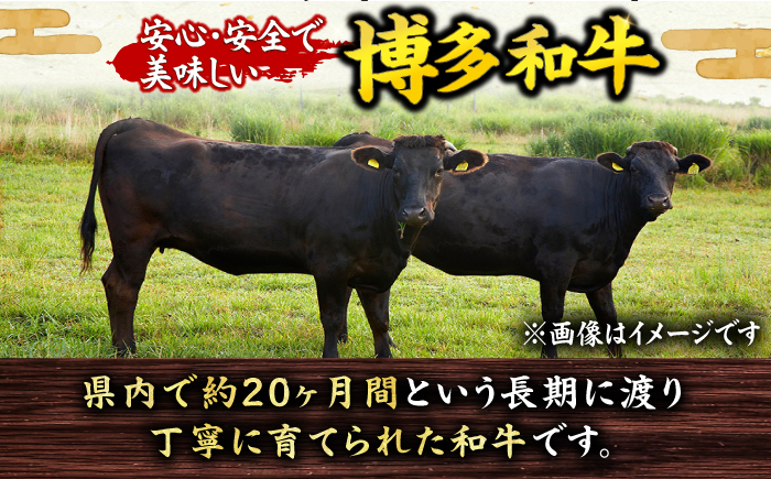 肉 にく ニク 牛肉 博多和牛 黒毛和牛 国産