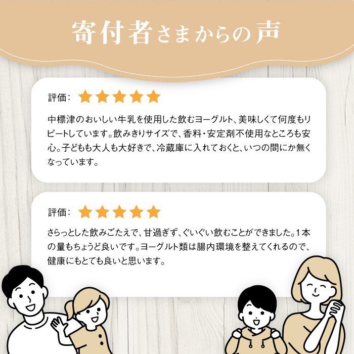 【定期便：全１２回】北海道 のむヨーグルト500ml×3本