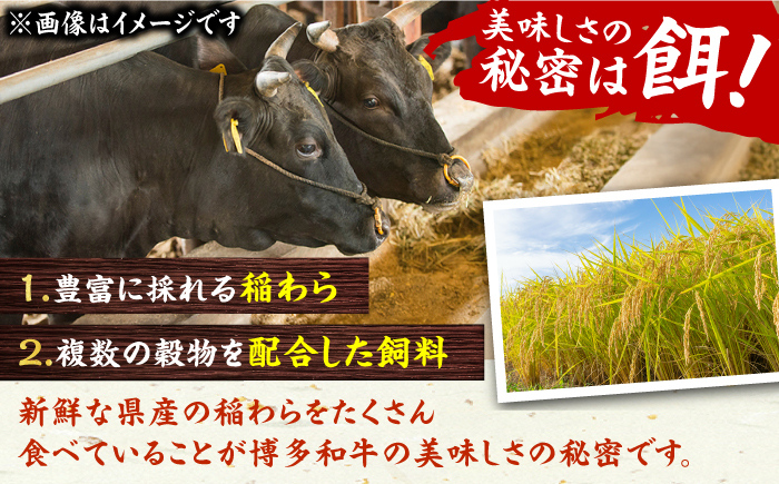 肉 にく ニク 博多和牛 黒毛和牛 国産 牛肉  肩ロース