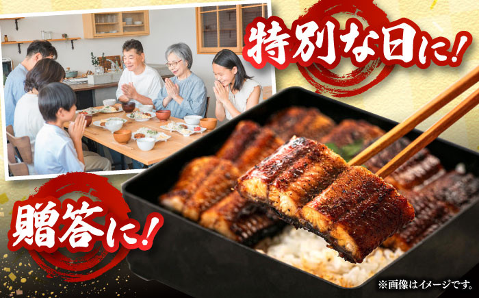 全12回定期便 特大！ 鹿児島産 うなぎ 蒲焼2尾セット