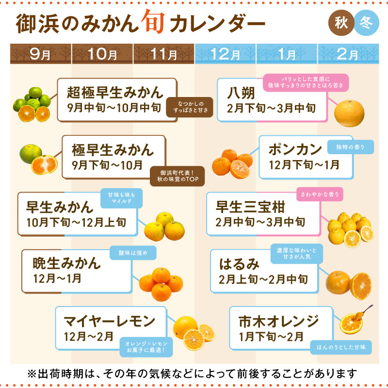 【2026年発送 先行予約品】