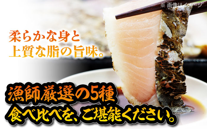 さわら サワラ 鰆 魚 さかな 魚介類 海産物 海鮮 さしみ 刺身 料理 和食 