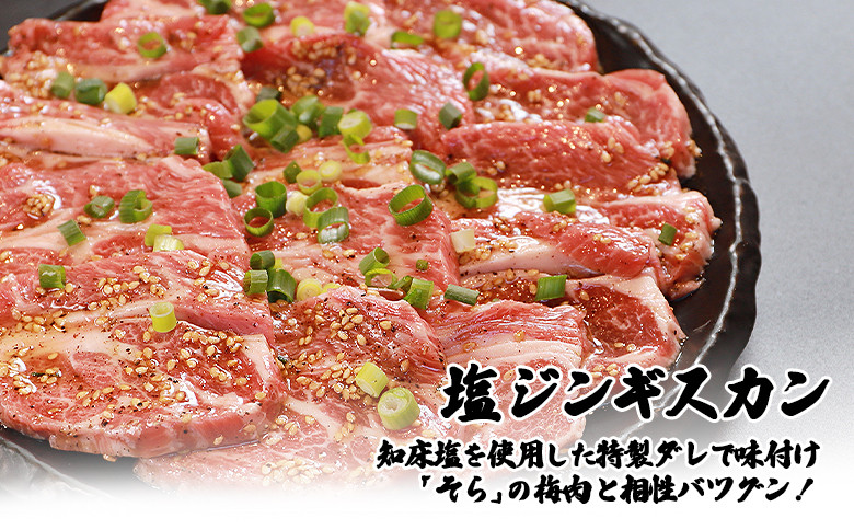 【定期便：全3回】知床ジンギスカン店「そら」ラム肩ロースジンギスカン2種セット×計1.5kg（味付け500g×2・塩×500g）