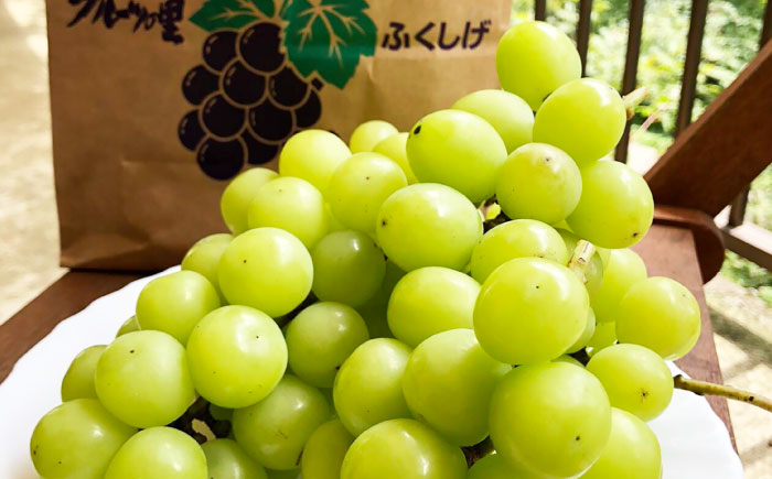 ブドウ ぶどう 葡萄 グレープ フルーツ 果物 くだもの 詰合せ シャインマスカット しゃいんますかっと マスカット ふるーつ