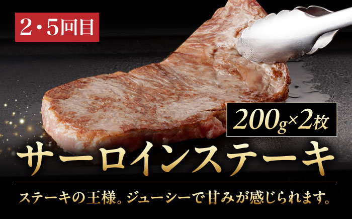 【6回定期便】A5等級 佐賀牛 艶さしプレミアム定期便 /ナチュラルフーズ [UBH119]