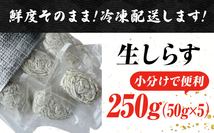 冷凍 生しらす 小分け 50gX5パック