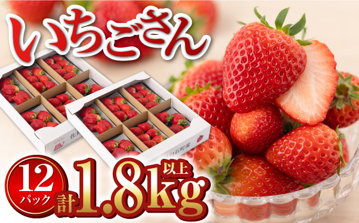 旬のいちごさんを贅沢にお届け！