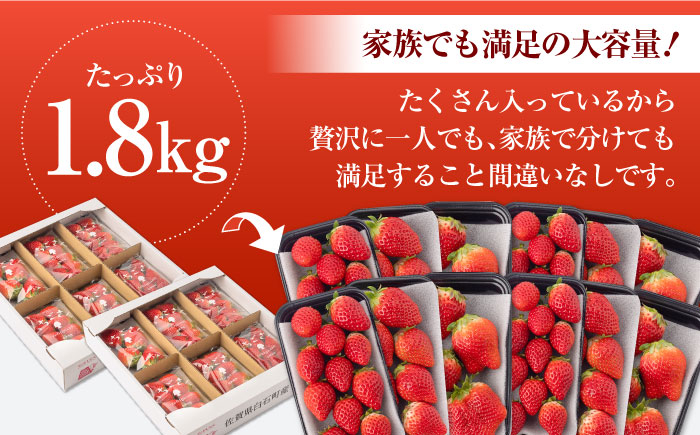 旬のいちごさんを贅沢にお届け！