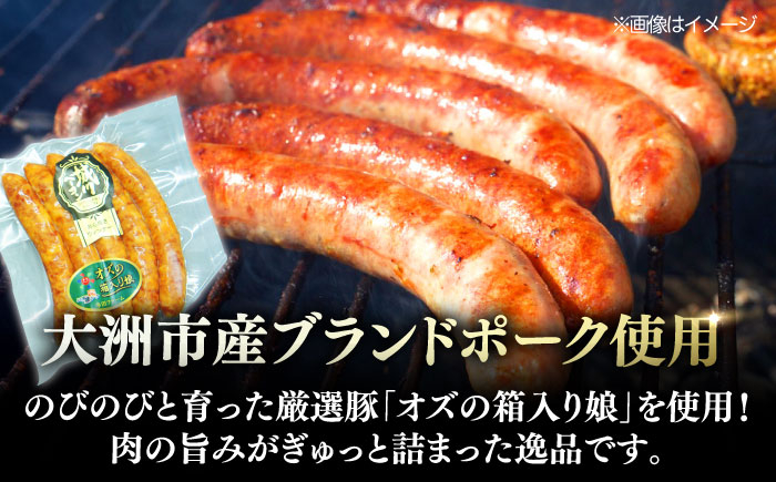 大洲市産ブランドポーク『オズの箱入り娘』を使用した特製ウインナー(5本入り)×3袋