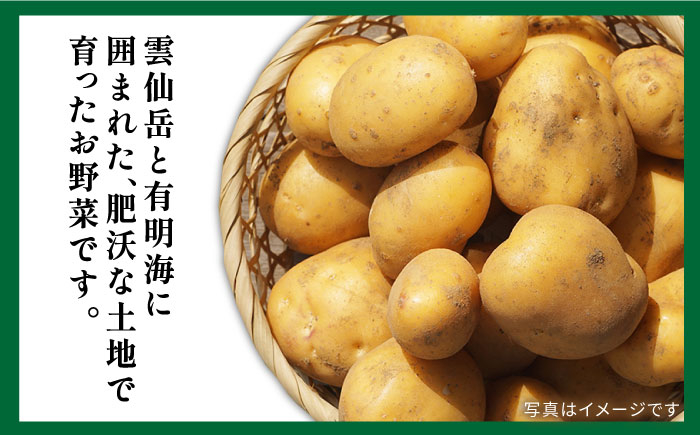 詰め合わせ 野菜 やさい 新鮮 野菜セット