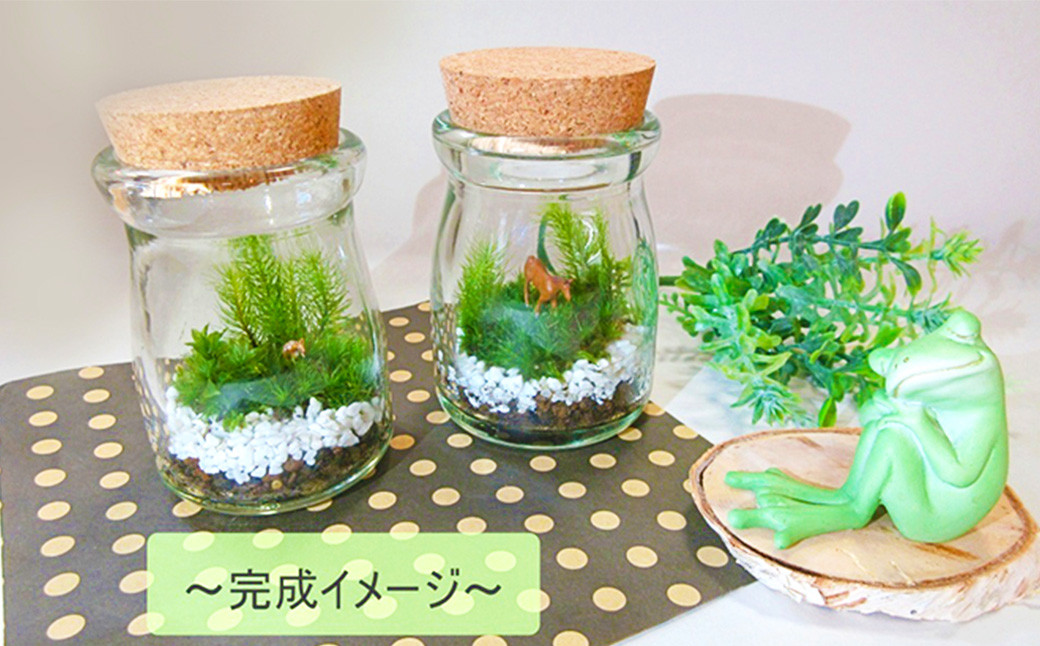 おうちで作ろう♪苔テラリウム手づくりキット小瓶 選べるアイテム【おうち時間】【インテリア】