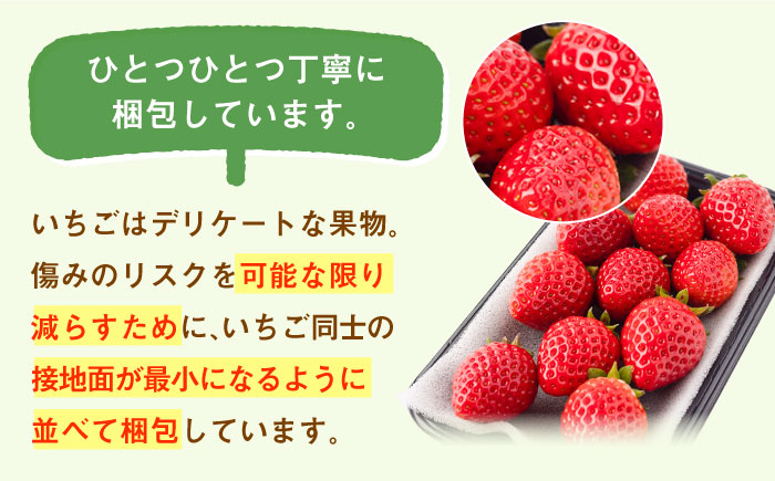 旬のいちごさんを贅沢にお届け！