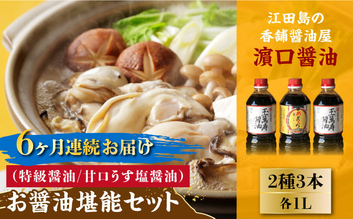 【全6回定期便】一度使うと手放せない!リピーター続出のお醤油堪能セット 1L×3本 料理 うす塩 健康 濃口 和食 江田島
