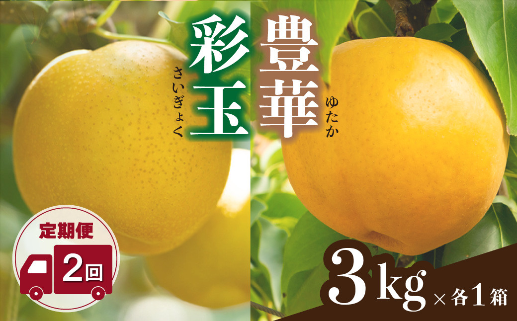 【先行予約】【梨の定期便】＜数量限定10箱＞ 埼玉ブランド＆埼玉生まれの梨　彩玉・豊華 各6玉（約3kg） × 2回