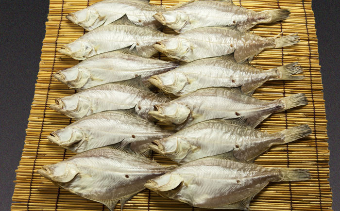 魚 干物 日本海 一夜干し カレイ セット 高級魚 島根 松江 おすすめ 人気