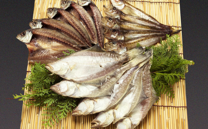 魚 干物 日本海 一夜干し 詰め合わせ セット 高級魚 島根 松江 おすすめ 人気