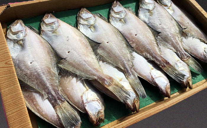 魚 干物 日本海 一夜干し カレイ セット 高級魚 島根 松江 おすすめ 人気