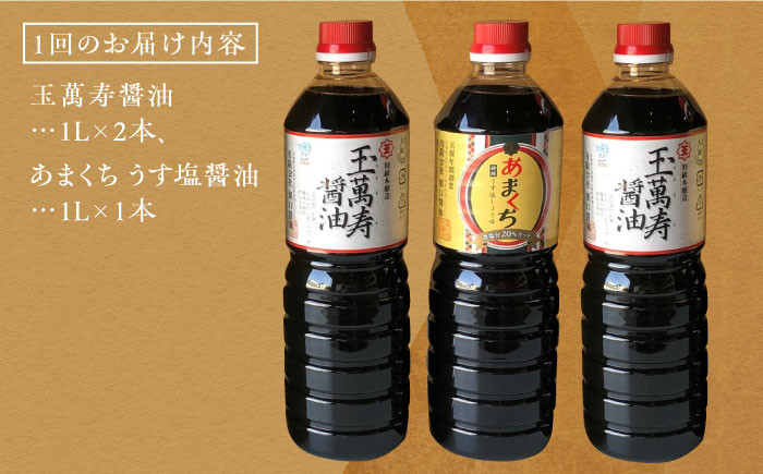 【全6回定期便】一度使うと手放せない!リピーター続出のお醤油堪能セット 1L×3本 料理 うす塩 健康 濃口 和食 江田島