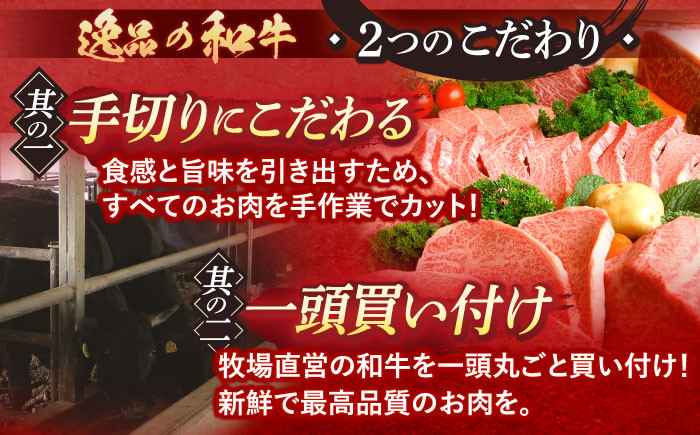 長崎和牛 A5ランク サーロインステーキ 2枚 計400g ステーキ 和牛 牛肉 国産牛 牛
